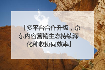 多平台合作升级，京东内容营销生态持续深化种收协同效率