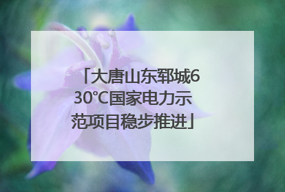 大唐山东郓城630℃国家电力示范项目稳步推进