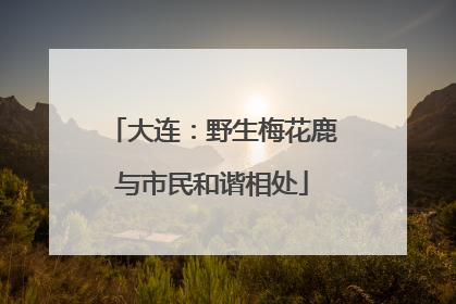 大连：野生梅花鹿与市民和谐相处