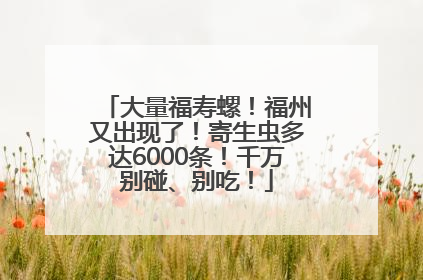 大量福寿螺！福州又出现了！寄生虫多达6000条！千万别碰、别吃！