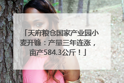 天府粮仓国家产业园小麦开镰：产量三年连涨，亩产584.3公斤！