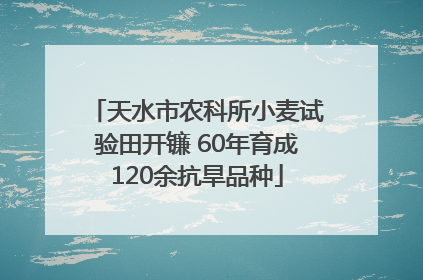 天水市农科所小麦试验田开镰 60年育成120余抗旱品种