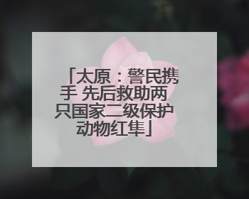 太原：警民携手 先后救助两只国家二级保护动物红隼