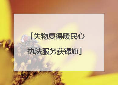 失物复得暖民心 执法服务获锦旗