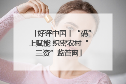 好评中国丨“码”上赋能 织密农村“三资”监管网