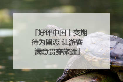 好评中国丨变期待为留恋 让游客满意贯穿旅途