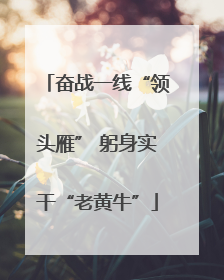奋战一线“领头雁” 躬身实干“老黄牛”