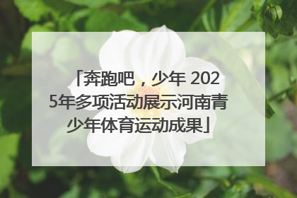 奔跑吧，少年 2025年多项活动展示河南青少年体育运动成果