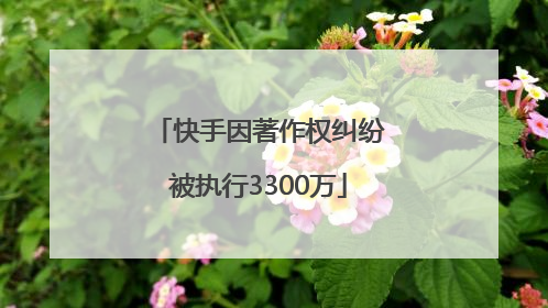 快手因著作权纠纷被执行3300万