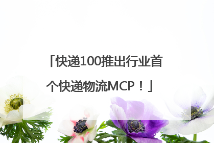 快递100推出行业首个快递物流MCP！