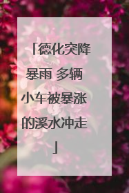 德化突降暴雨 多辆小车被暴涨的溪水冲走