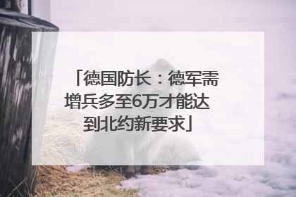 德国防长：德军需增兵多至6万才能达到北约新要求