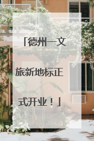 德州一文旅新地标正式开业！