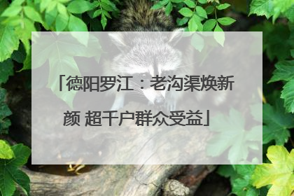 德阳罗江：老沟渠焕新颜 超千户群众受益