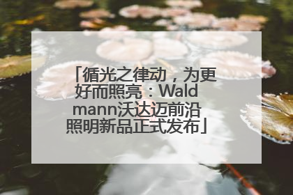 循光之律动，为更好而照亮：Waldmann沃达迈前沿照明新品正式发布