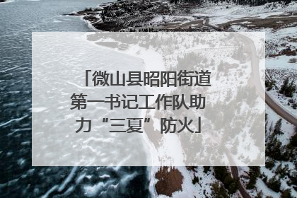 微山县昭阳街道第一书记工作队助力“三夏”防火