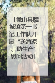 微山县驩城镇第一书记工作队开展“送清凉、助生产”慰问活动