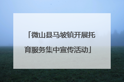微山县马坡镇开展托育服务集中宣传活动