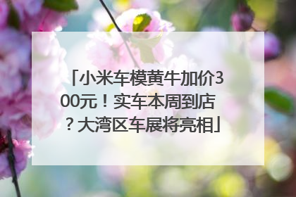小米车模黄牛加价300元！实车本周到店？大湾区车展将亮相