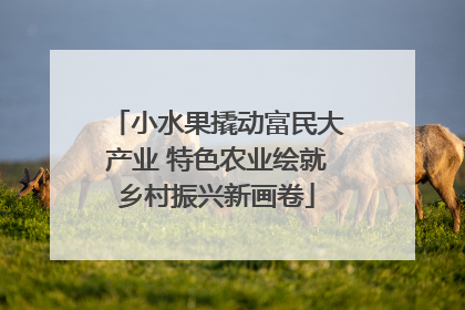 小水果撬动富民大产业 特色农业绘就乡村振兴新画卷