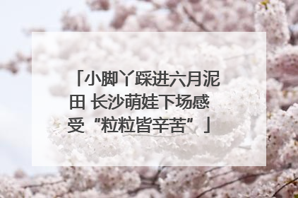 小脚丫踩进六月泥田 长沙萌娃下场感受“粒粒皆辛苦”