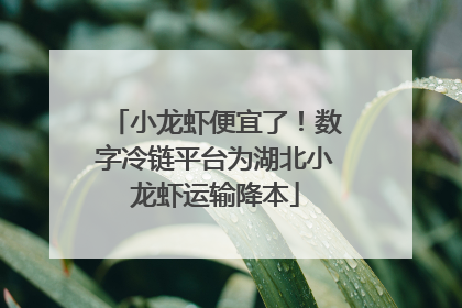 小龙虾便宜了！数字冷链平台为湖北小龙虾运输降本