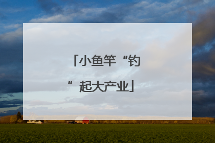 小鱼竿“钓”起大产业