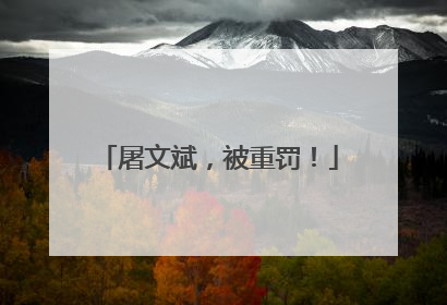 屠文斌，被重罚！