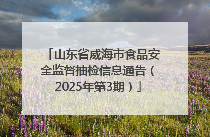 山东省威海市食品安全监督抽检信息通告（2025年第3期）