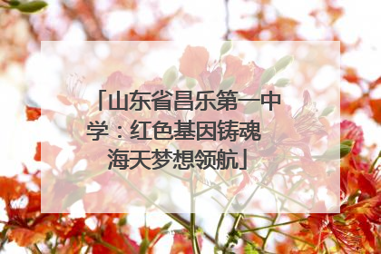 山东省昌乐第一中学：红色基因铸魂 海天梦想领航