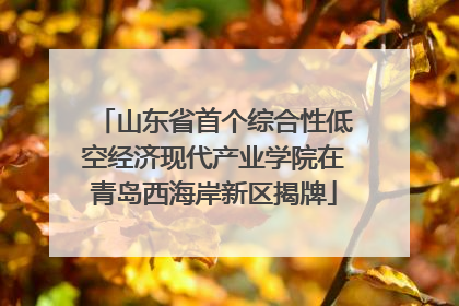 山东省首个综合性低空经济现代产业学院在青岛西海岸新区揭牌
