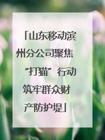 山东移动滨州分公司聚焦“打猫”行动 筑牢群众财产防护堤