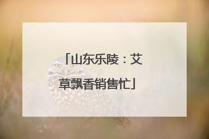 山东乐陵：艾草飘香销售忙
