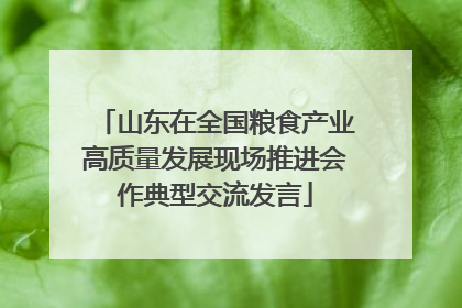 山东在全国粮食产业高质量发展现场推进会作典型交流发言