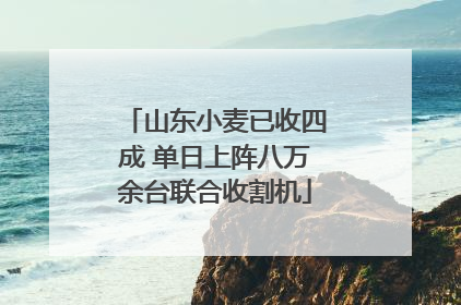 山东小麦已收四成 单日上阵八万余台联合收割机