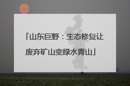 山东巨野：生态修复让废弃矿山变绿水青山