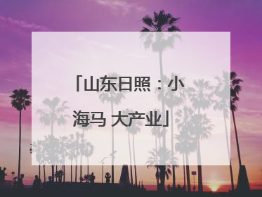 山东日照：小海马 大产业