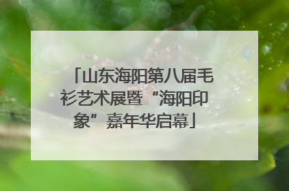 山东海阳第八届毛衫艺术展暨“海阳印象”嘉年华启幕