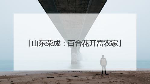 山东荣成：百合花开富农家