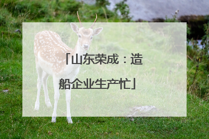 山东荣成：造船企业生产忙