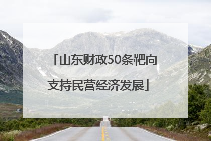 山东财政50条靶向支持民营经济发展