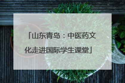 山东青岛：中医药文化走进国际学生课堂
