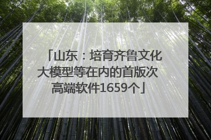 山东：培育齐鲁文化大模型等在内的首版次高端软件1659个