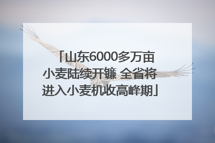 山东6000多万亩小麦陆续开镰 全省将进入小麦机收高峰期