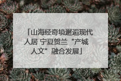 山海经奇境邂逅现代人居 宁夏贺兰“产城人文”融合发展