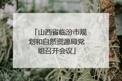 山西省临汾市规划和自然资源局党组召开会议