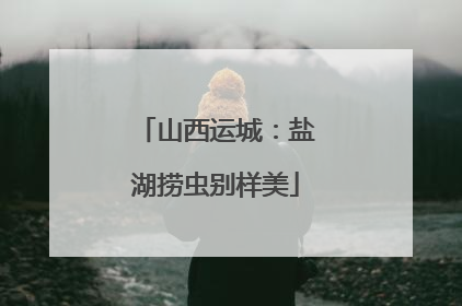 山西运城：盐湖捞虫别样美