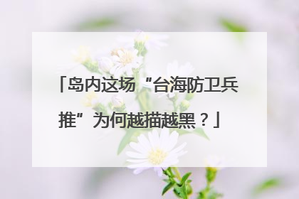 岛内这场“台海防卫兵推”为何越描越黑？