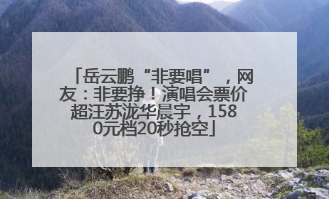 岳云鹏“非要唱”，网友：非要挣！演唱会票价超汪苏泷华晨宇，1580元档20秒抢空