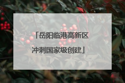 岳阳临港高新区冲刺国家级创建